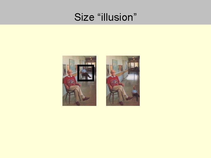 Size “illusion” 