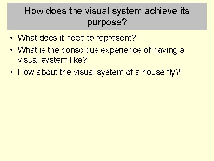 How does the visual system achieve its purpose? • What does it need to