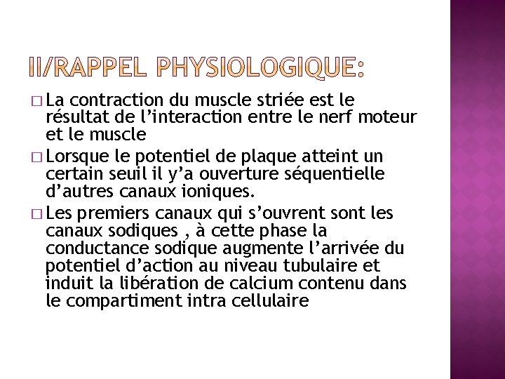 � La contraction du muscle striée est le résultat de l’interaction entre le nerf