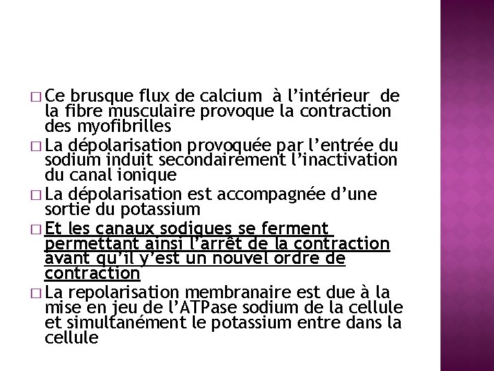 � Ce brusque flux de calcium à l’intérieur de la fibre musculaire provoque la