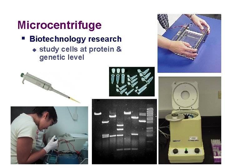 Microcentrifuge § Biotechnology research u study cells at protein & genetic level 2005 -2006