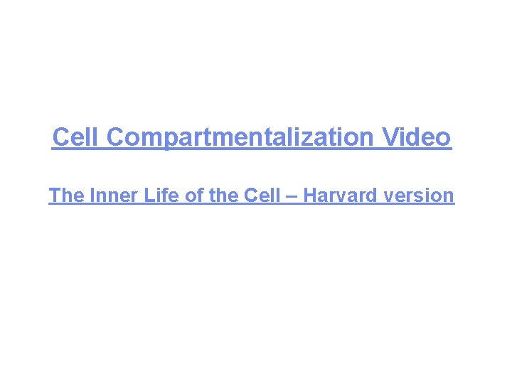 Cell Compartmentalization Video The Inner Life of the Cell – Harvard version 