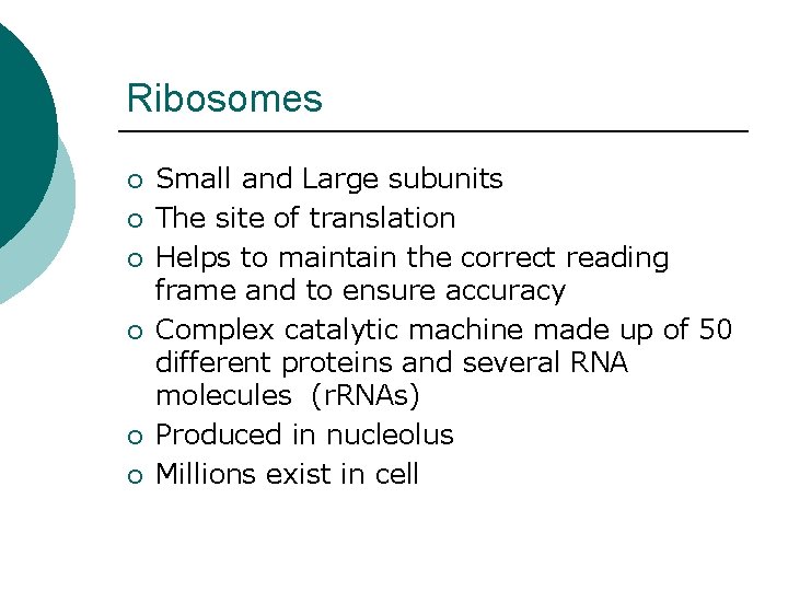 Ribosomes ¡ ¡ ¡ Small and Large subunits The site of translation Helps to