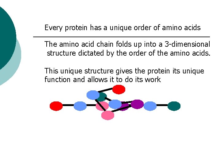 Every protein has a unique order of amino acids The amino acid chain folds