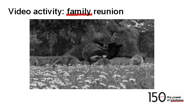 Video activity: family reunion 