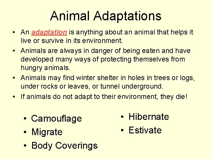 Animal Adaptations • An adaptation is anything about an animal that helps it live