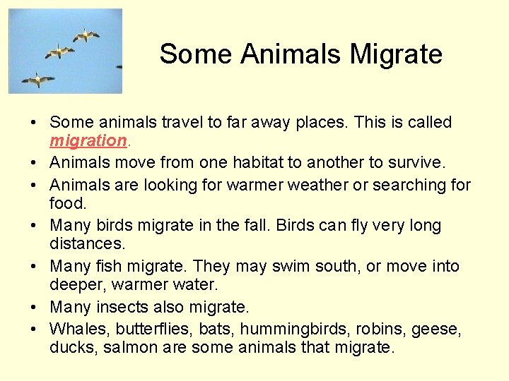 Some Animals Migrate • Some animals travel to far away places. This is called