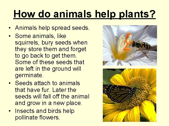 How do animals help plants? • Animals help spread seeds. • Some animals, like