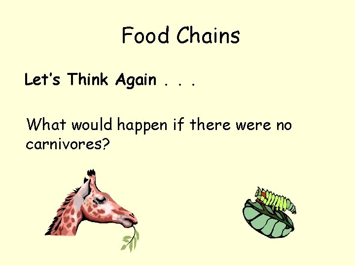 Food Chains Let’s Think Again. . . What would happen if there were no