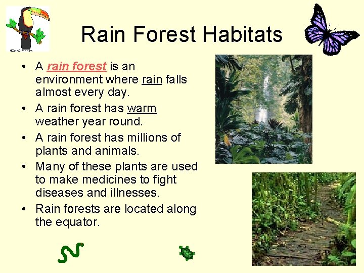 Rain Forest Habitats • A rain forest is an environment where rain falls almost