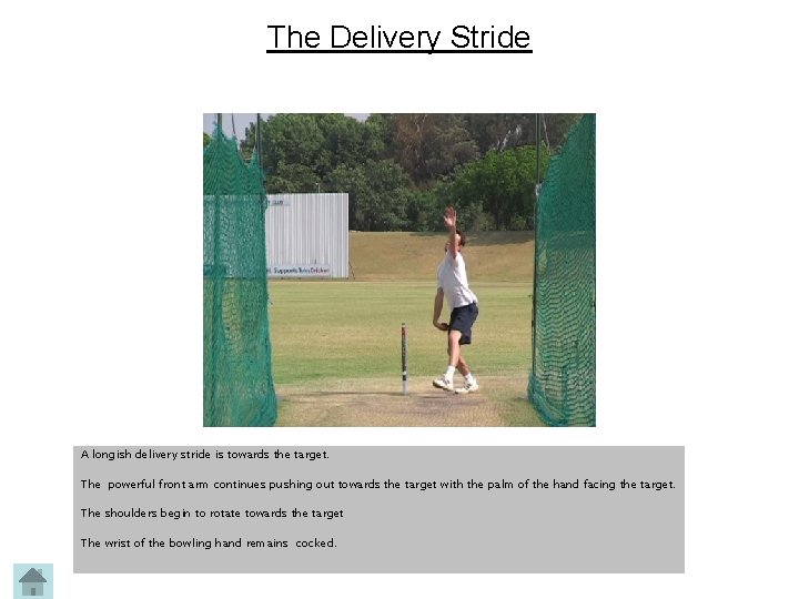 The Delivery Stride A longish delivery stride is towards the target. The powerful front