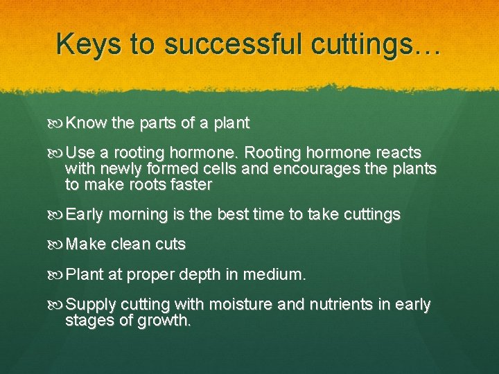 Keys to successful cuttings… Know the parts of a plant Use a rooting hormone.