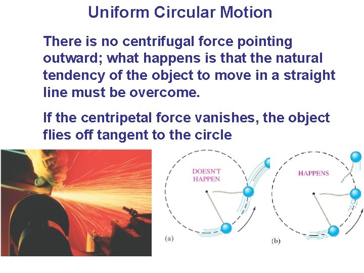 Uniform Circular Motion There is no centrifugal force pointing outward; what happens is that