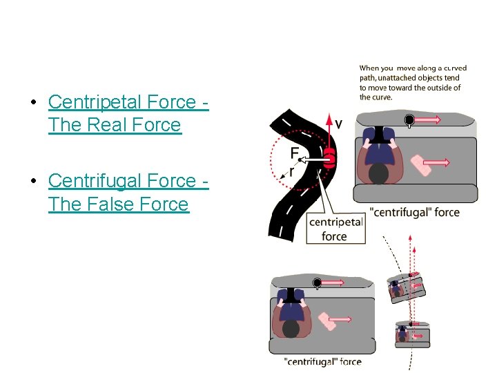  • Centripetal Force The Real Force • Centrifugal Force The False Force 