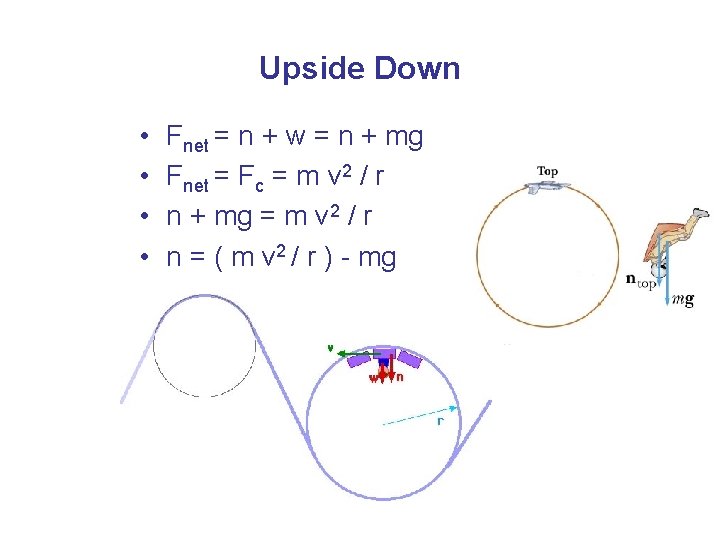 Upside Down • • Fnet = n + w = n + mg Fnet