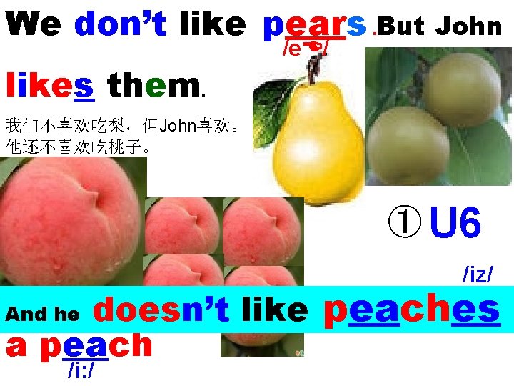 We don’t like pears. But John /e / likes them . 我们不喜欢吃梨，但John喜欢。 他还不喜欢吃桃子。 ①