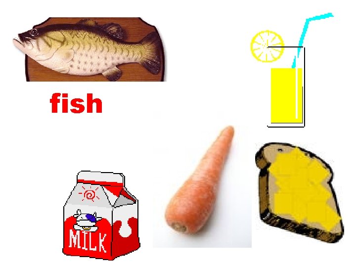 fish 