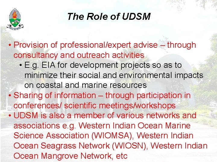 The Role of UDSM • Provision of professional/expert advise – through consultancy and outreach