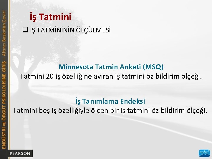 İş Tatmini q İŞ TATMİNİNİN ÖLÇÜLMESİ Minnesota Tatmin Anketi (MSQ) Tatmini 20 iş özelliğine