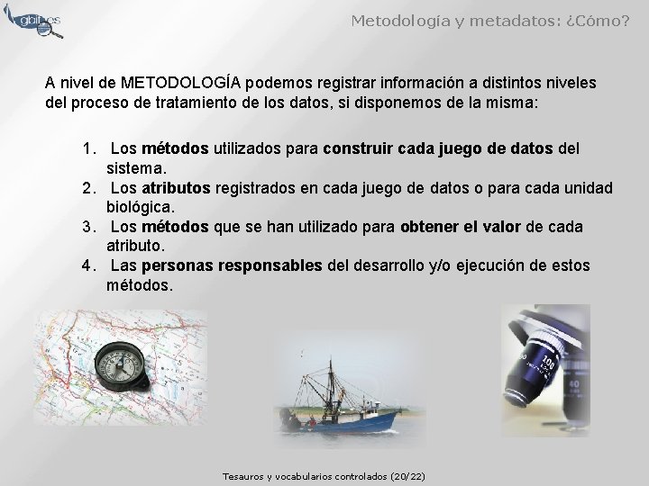 Metodología y metadatos: ¿Cómo? A nivel de METODOLOGÍA podemos registrar información a distintos niveles