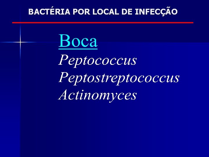 BACTÉRIA POR LOCAL DE INFECÇÃO 