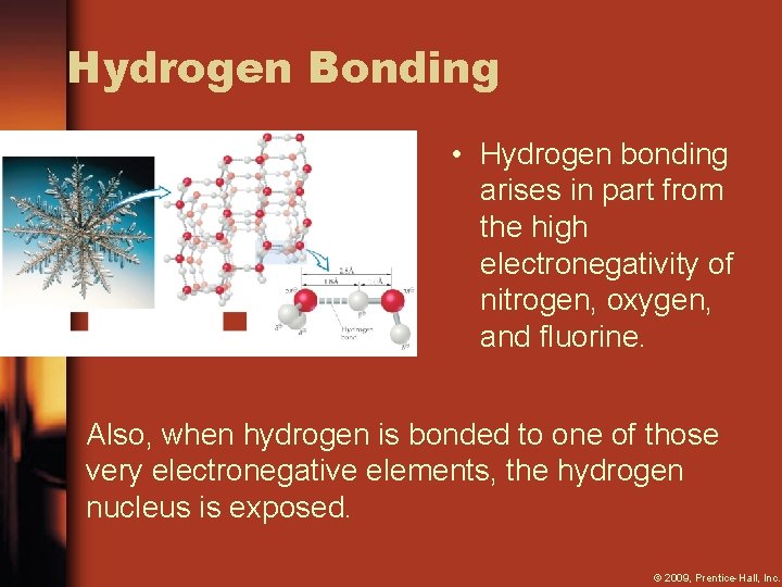 Hydrogen Bonding • Hydrogen bonding arises in part from the high electronegativity of nitrogen,