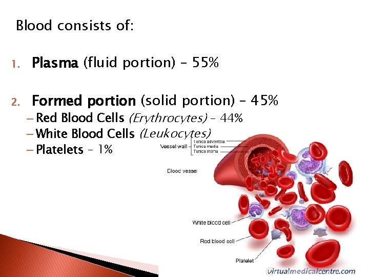 Blood consists of: 1. Plasma (fluid portion) – 55% 2. Formed portion (solid portion)