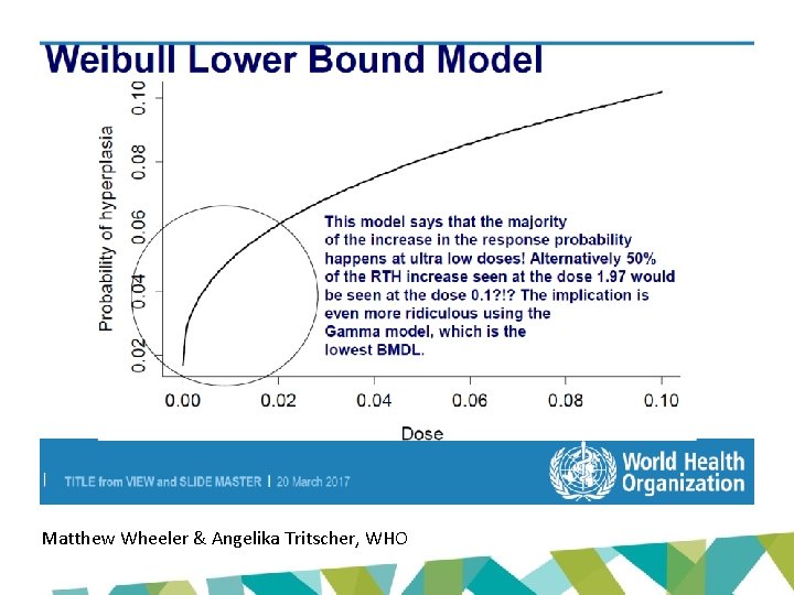 Matthew Wheeler & Angelika Tritscher, WHO 