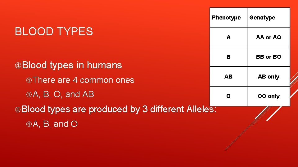 Phenotype BLOOD TYPES Blood types in humans There A, B, O, and AB Blood