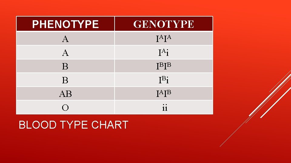 PHENOTYPE GENOTYPE A A B B AB O IA IA IA i IB IB