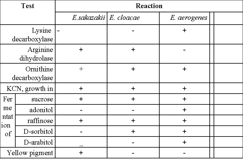 Test Reaction E. sakazakii E. cloacae Lysine decarboxylase Arginine dihydrolase Ornithine decarboxylase KCN, growth