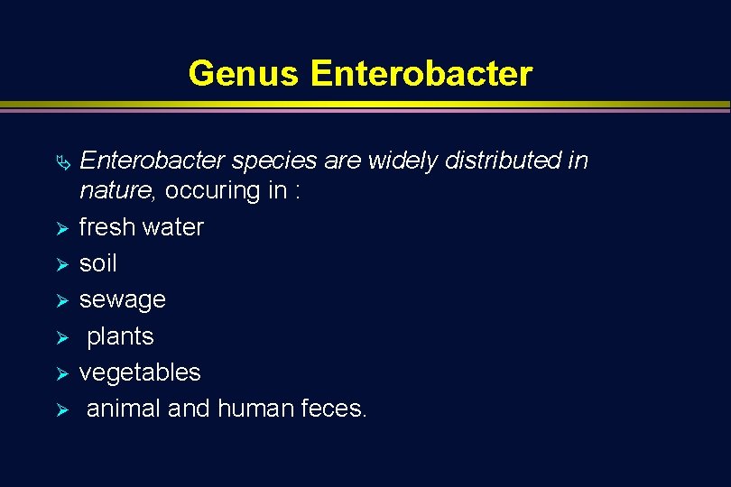 Genus Enterobacter Ä Ø Ø Ø Enterobacter species are widely distributed in nature, occuring