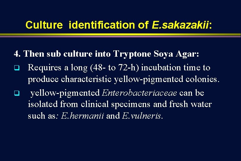 Culture identification of E. sakazakii: 4. Then sub culture into Tryptone Soya Agar: q