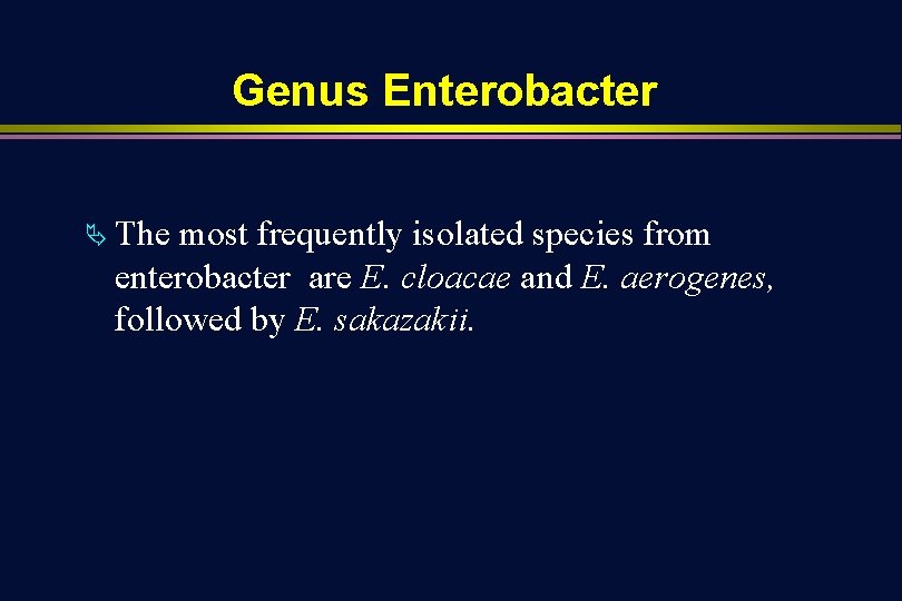 Genus Enterobacter Ä The most frequently isolated species from enterobacter are E. cloacae and