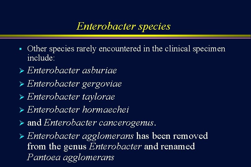 Enterobacter species § Other species rarely encountered in the clinical specimen include: Enterobacter asburiae