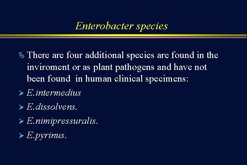 Enterobacter species Ä There are four additional species are found in the inviroment or