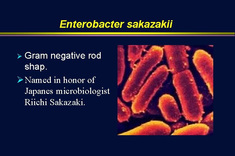 Enterobacter sakazakii Gram negative rod shap. Ø Named in honor of Japanes microbiologist Riichi