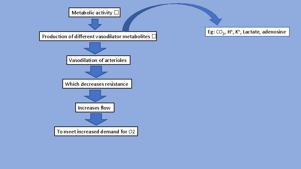 Metabolic activity � Production of different vasodilator metabolites � Vasodilation of arterioles Which decreases