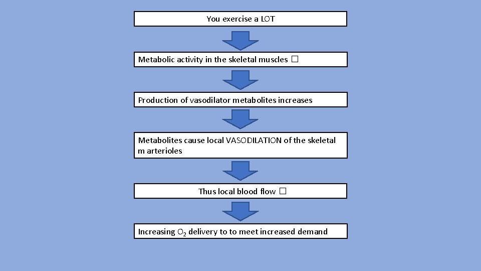 You exercise a LOT Metabolic activity in the skeletal muscles � Production of vasodilator