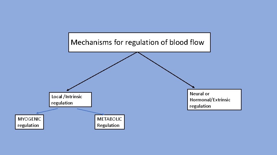 Mechanism of the regulation of blood flow Mechanisms