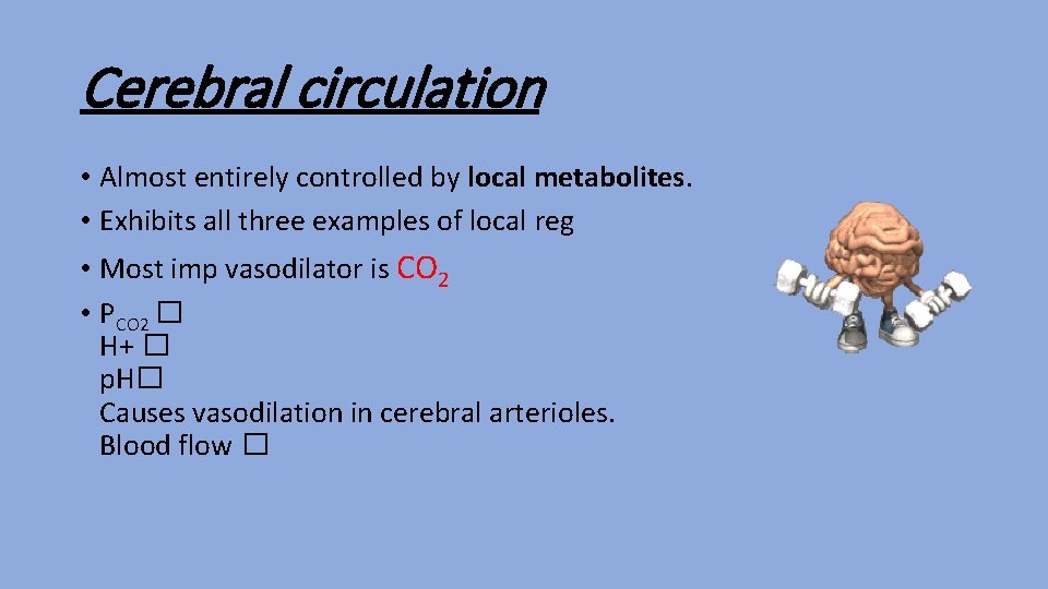 Cerebral circulation • Almost entirely controlled by local metabolites. • Exhibits all three examples