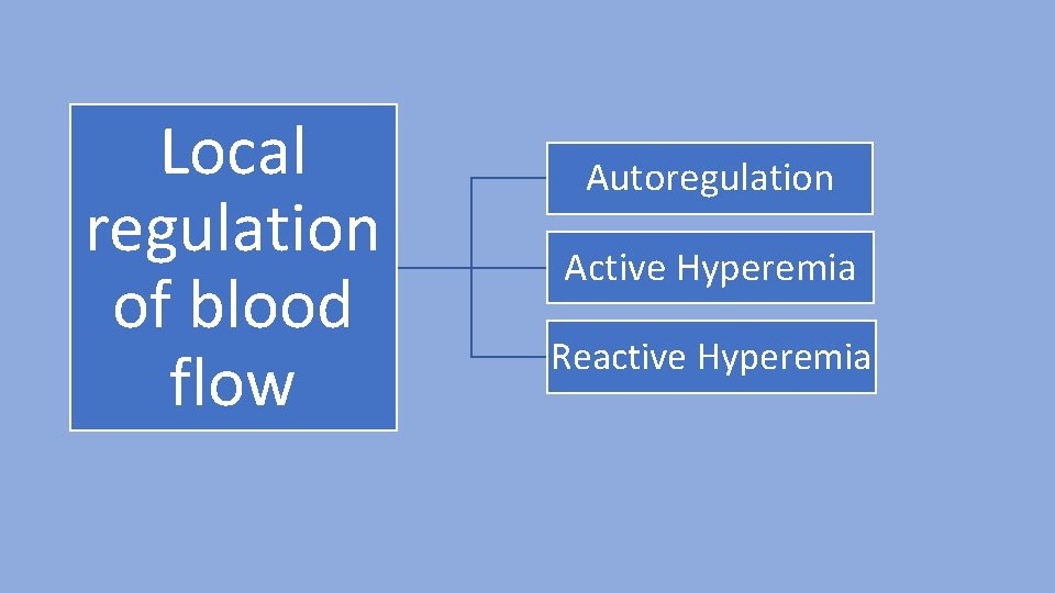Local regulation of blood flow Autoregulation Active Hyperemia Reactive Hyperemia 