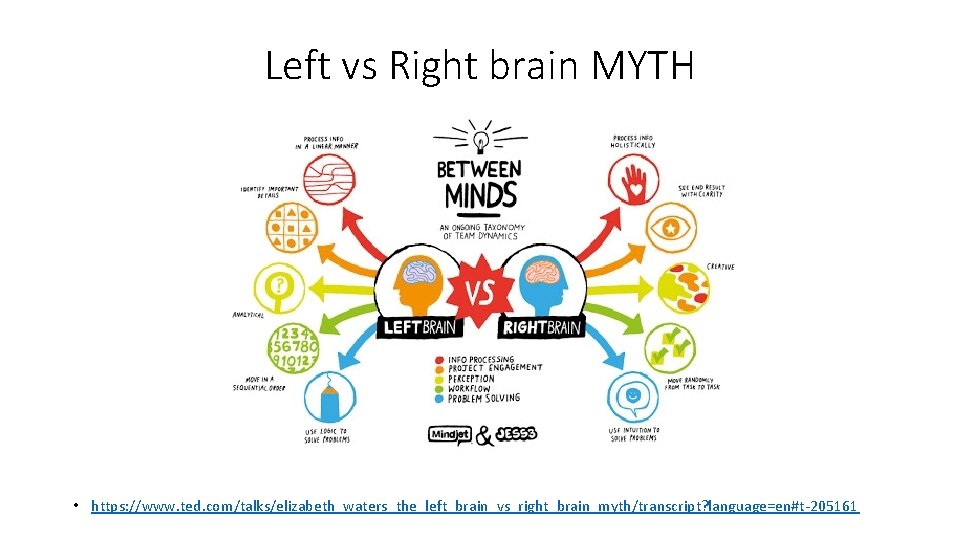 Left vs Right brain MYTH • https: //www. ted. com/talks/elizabeth_waters_the_left_brain_vs_right_brain_myth/transcript? language=en#t-205161 