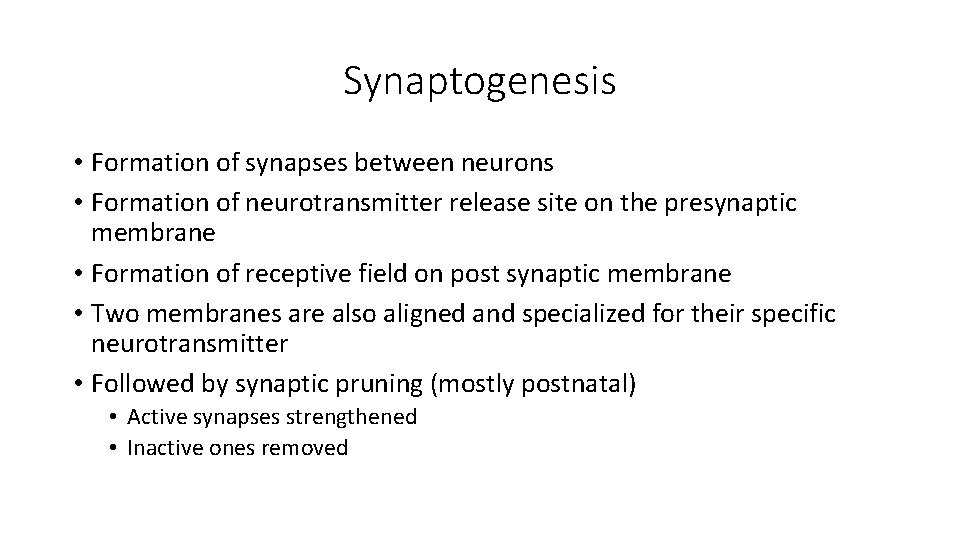 Synaptogenesis • Formation of synapses between neurons • Formation of neurotransmitter release site on