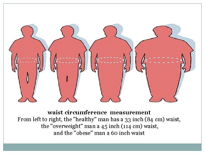 waist circumference measurement From left to right, the "healthy" man has a 33 inch