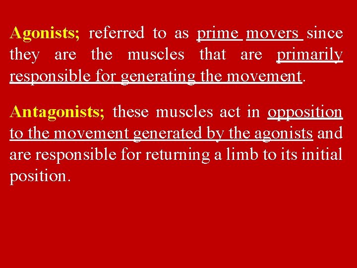 Agonists; referred to as prime movers since they are the muscles that are primarily