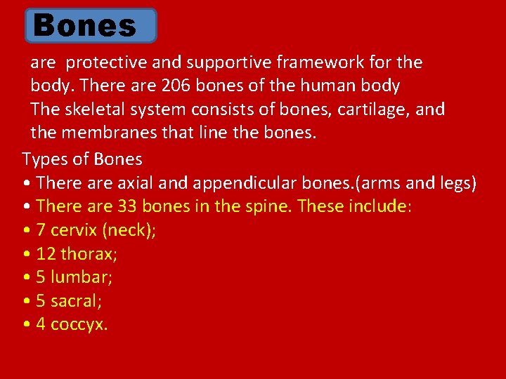 Bones are protective and supportive framework for the body. There are 206 bones of