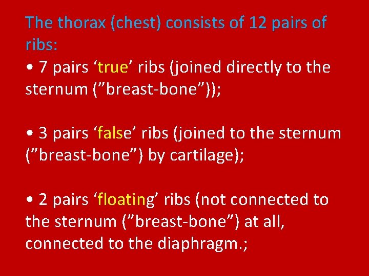 The thorax (chest) consists of 12 pairs of ribs: • 7 pairs ‘true’ ribs