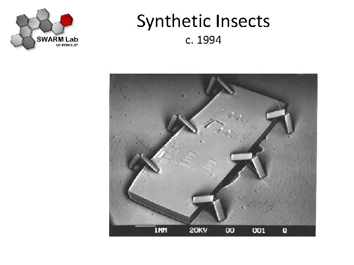 Synthetic Insects c. 1994 