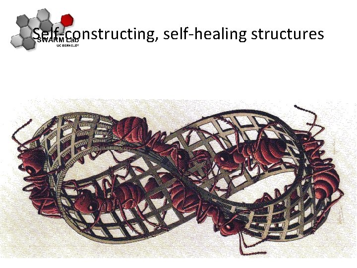 Self-constructing, self-healing structures 